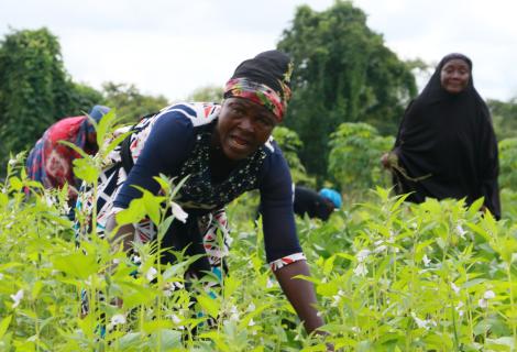 Anambra Women Farmers Flag Declining Agricultural Allocation