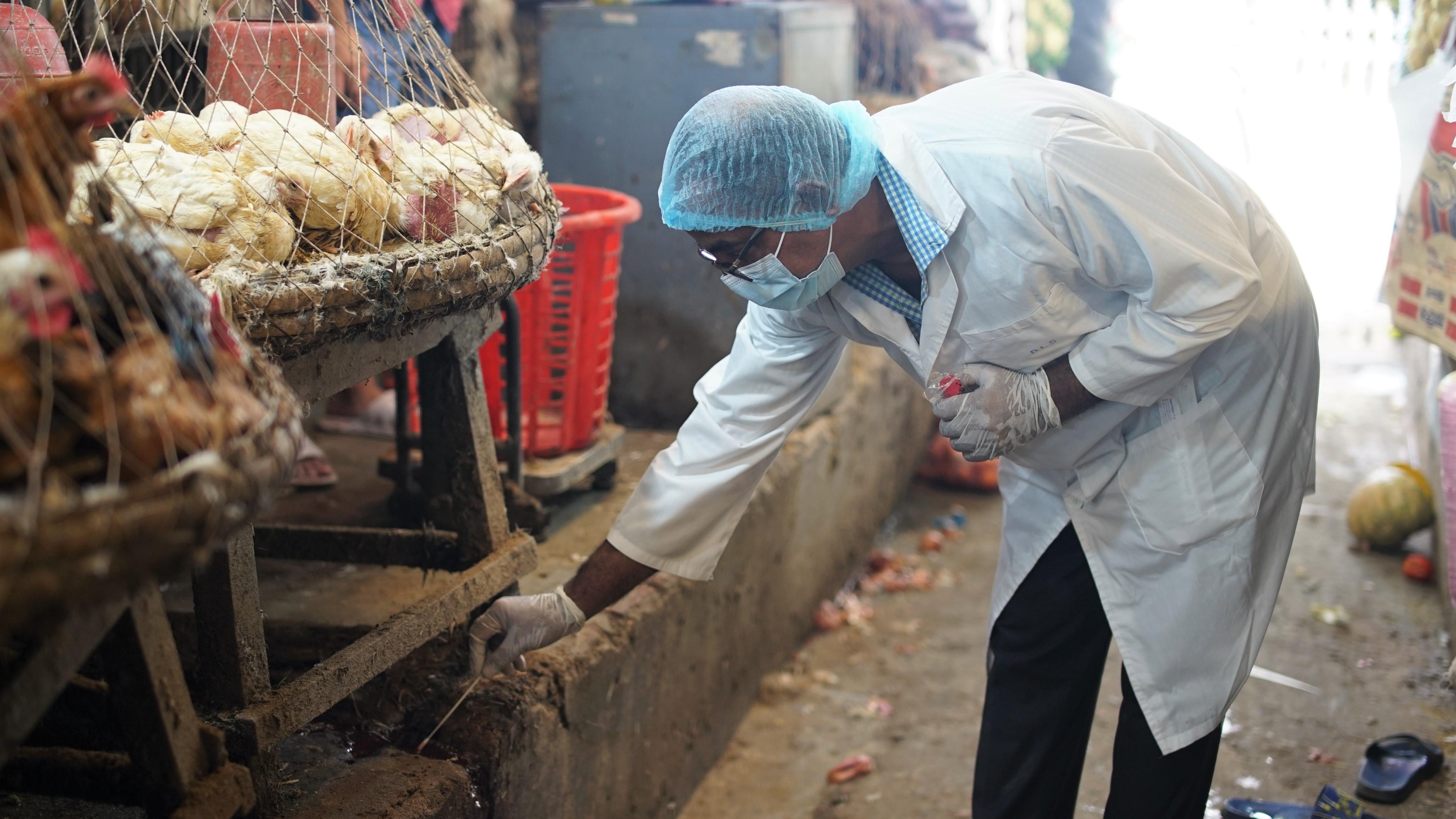 FG Trains 62 Officers to Detect Bird Flu Early in Wild Birds