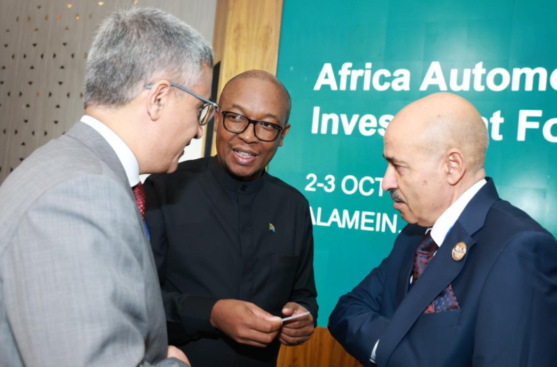 Egypt, South Africa Launch Joint Business Council at Alamein