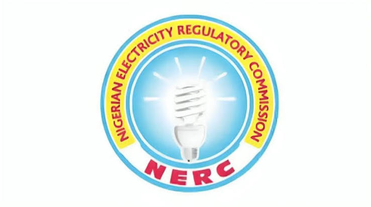 Nigeria’s Grid Power Plants Utilised 81% of Available Capacity in September, NERC Says