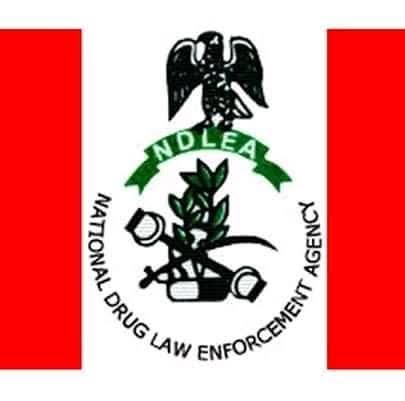World Mental Health Day: NDLEA Urges Early Intervention, Family Support to Tackle Drug Abuse in Nige