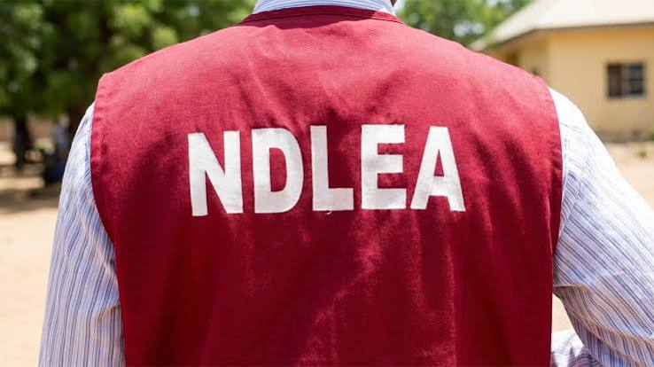 NDLEA Reports Rearrest of 83-Year-Old Woman in Abia, Cannabis Seizure at Port Harcourt Airport