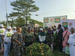 Egg sellers launch EggHome app to tackle glut, high prices