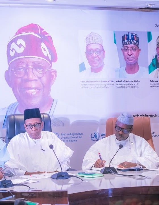 FG Plans Additional $3bn for Health by 2030