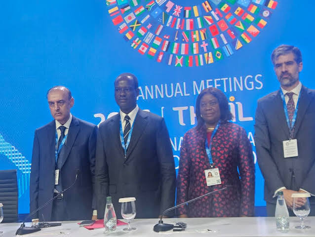 Oyedele Calls for IMF, World Bank Reforms to Support Developing Economies