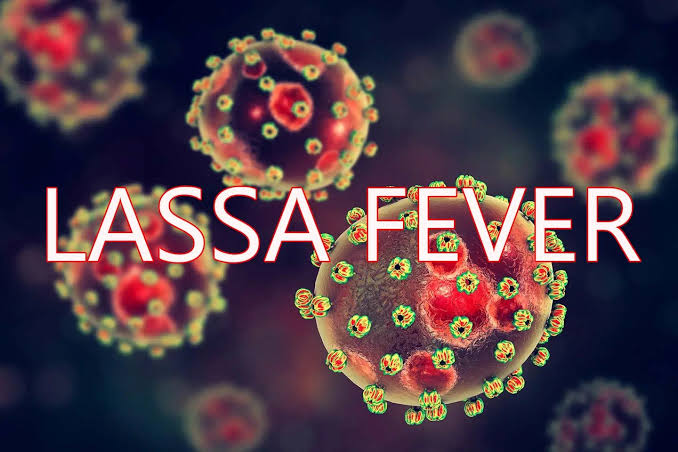 NCDC Reports 268 Lassa Fever Deaths Across 24 States