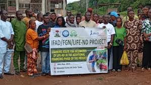 IFAD Urges Lasting Support for Farmers as VCDP Nears Completion