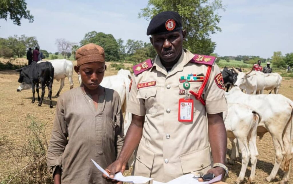 Kano Forest Guards Recover 25 of 44 Rustled Cattle in Falgore