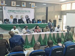 UN Urges Nigeria to Include Persons with Disabilities in Climate Action